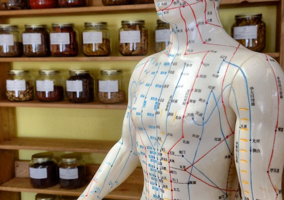 BMJ: Evidence on acupuncture therapies is underused in clinical practice and health policy
