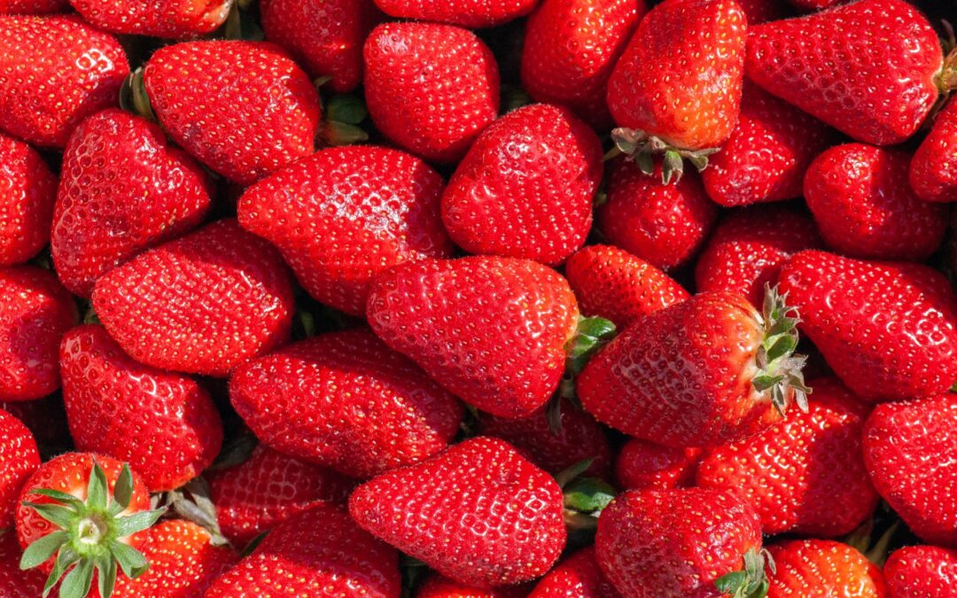 Nutrients: Early Intervention in Cognitive Aging with Strawberry Supplementation