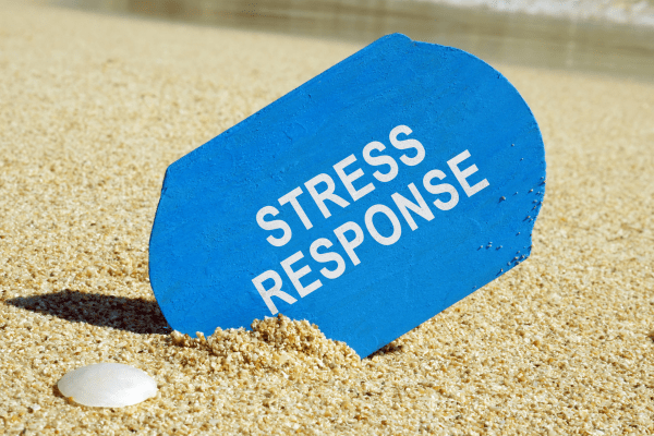 The Impact of Chronic Stress on our Health and Wellbeing