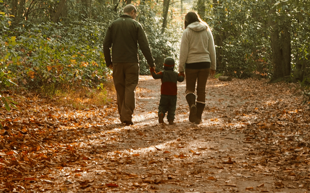 Nature Connection: Better than Medication