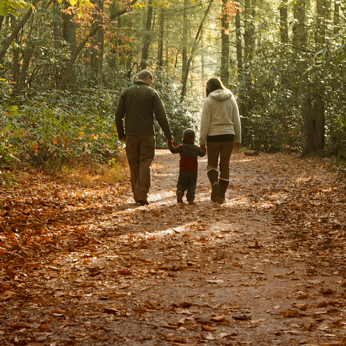 Nature Connection: Better than Medication