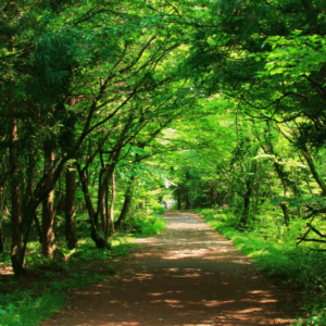 NCIM Conference: Longevity Unlocked: Thriving into Later Life