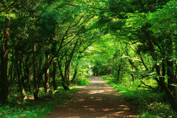 NCIM Conference: Longevity Unlocked: Thriving into Later Life
