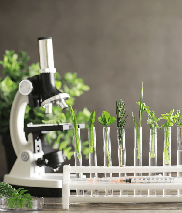 The Ethics of Knowledge