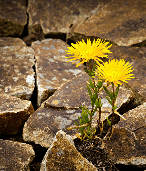 Website blog images (17)