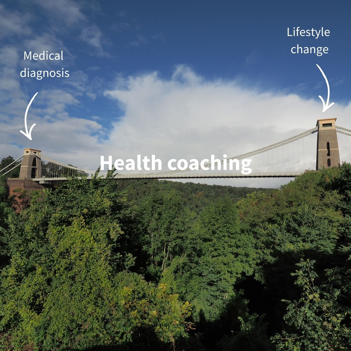 Health coaching bridge - paid ads