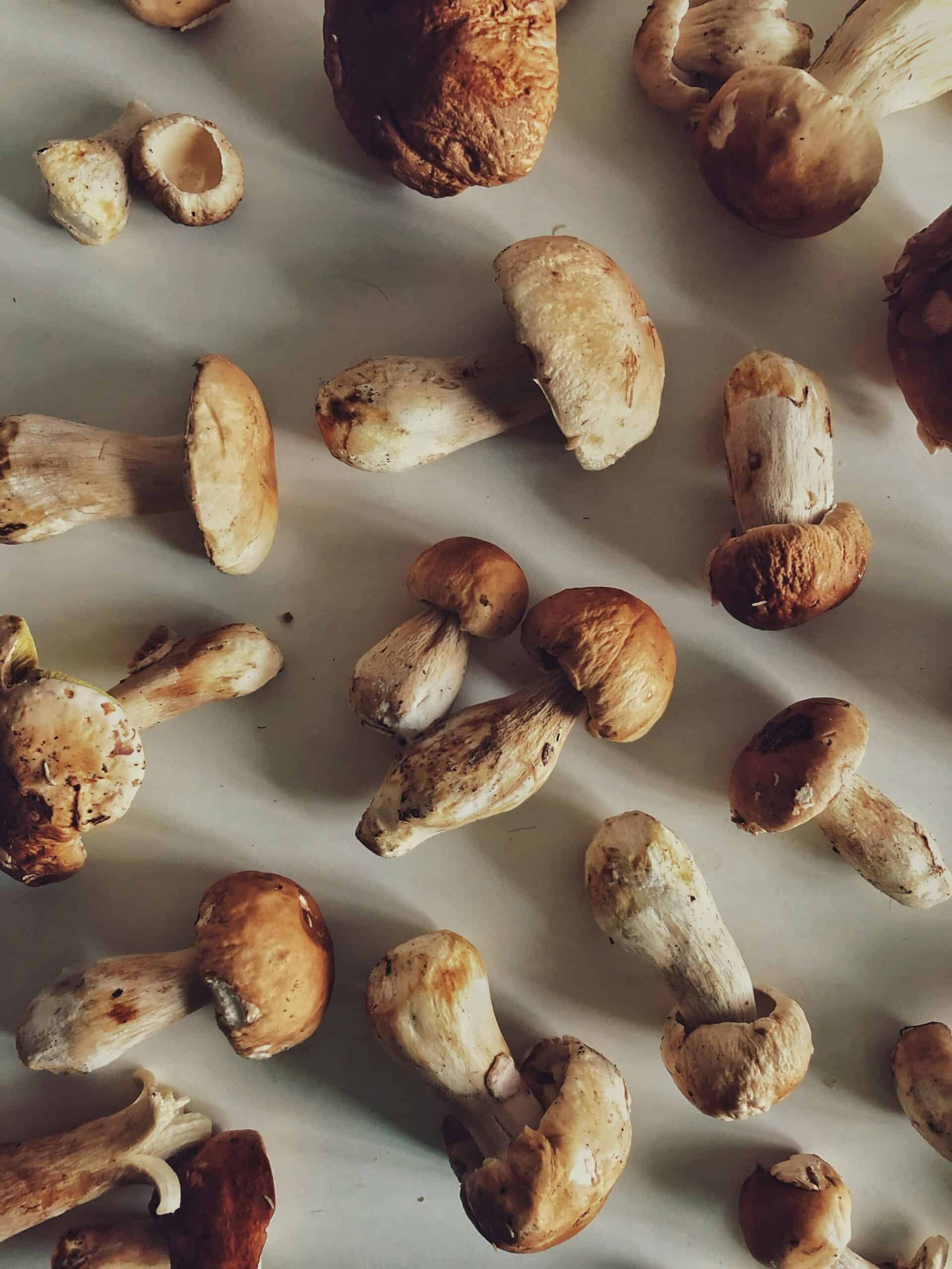 shiitake mushrooms